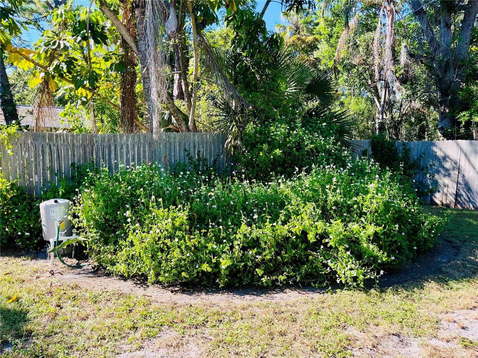 INDIAN BEACH MAP OF - Land