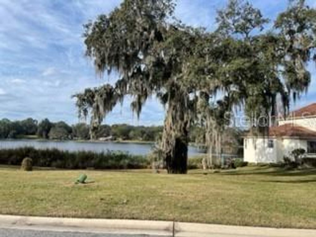 Photo of 519 W Blue Water Edge Drive, Eustis, FL 32736 (MLS # O6390446)