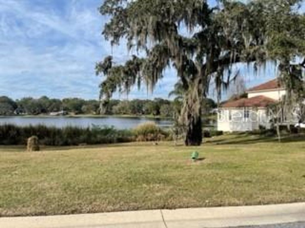 Photo of 519 W Blue Water Edge Drive, Eustis, FL 32736 (MLS # O6390446)