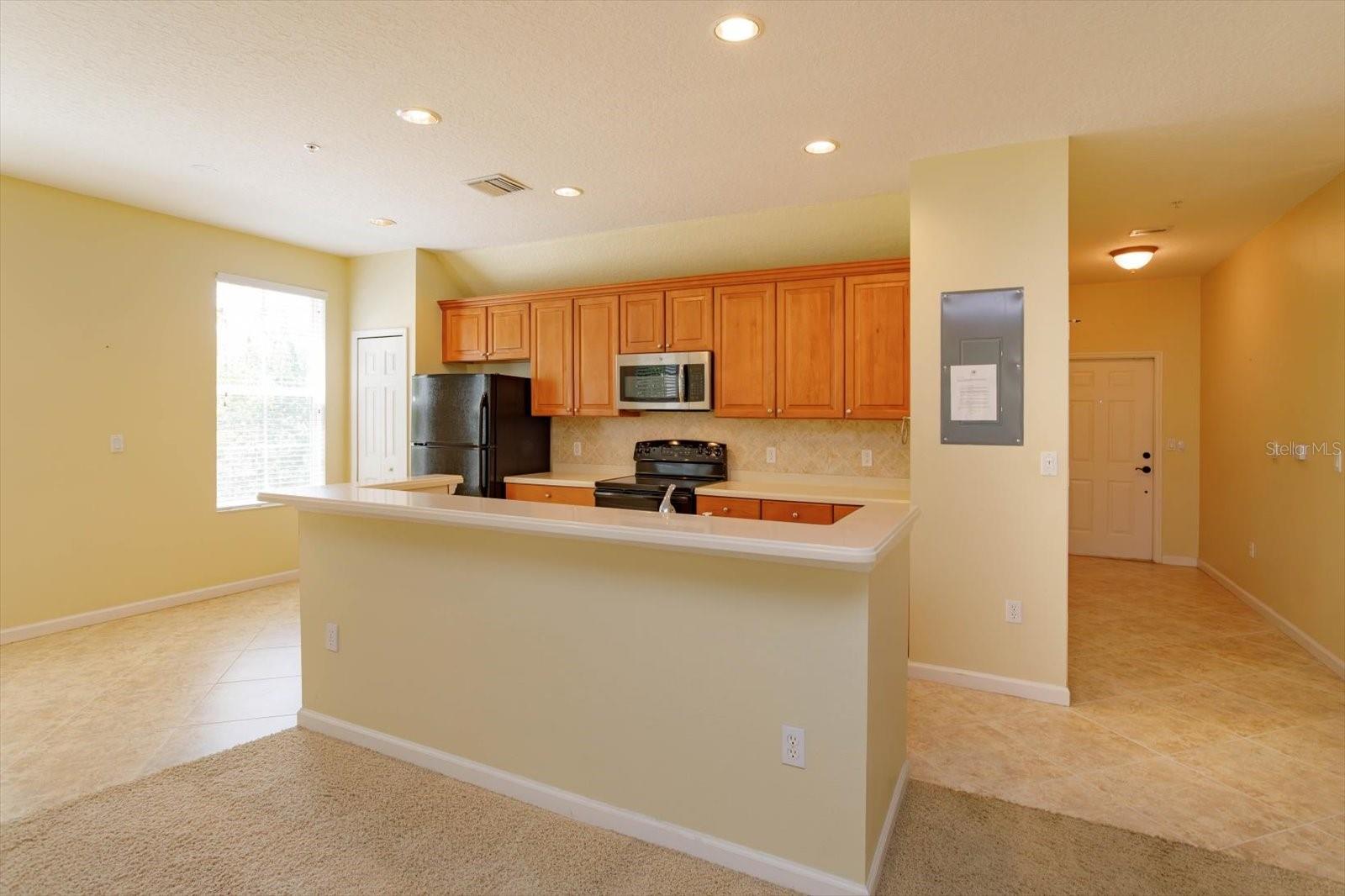1630 COMMON WAY ROAD 203