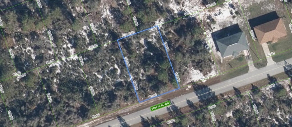 Photo of 117 Bonnie Road NW, Lake Placid, FL 33852 (MLS # A4697268)