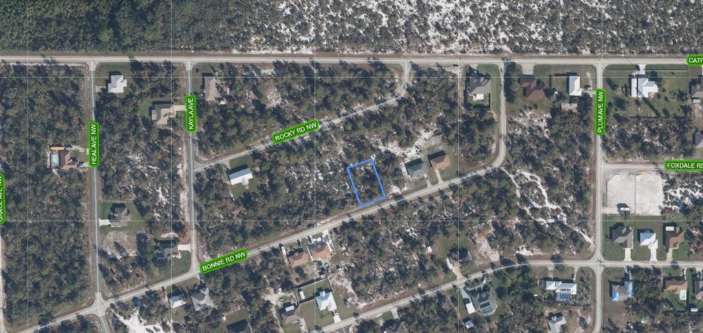 Photo of 117 Bonnie Road NW, Lake Placid, FL 33852 (MLS # A4697268)