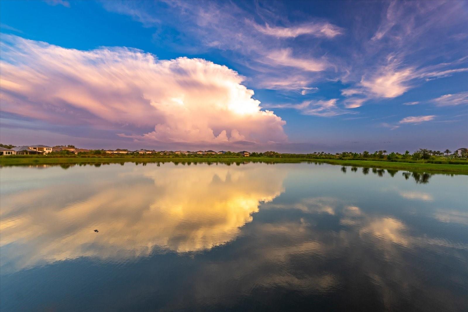 SKYE RANCH NEIGHBORHOOD - Residential