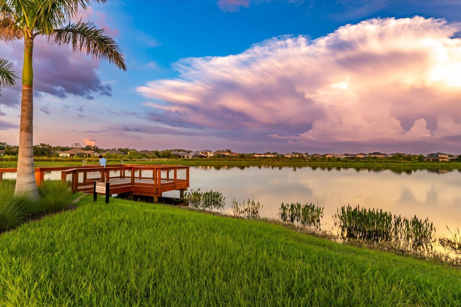 SKYE RANCH NEIGHBORHOOD - Residential