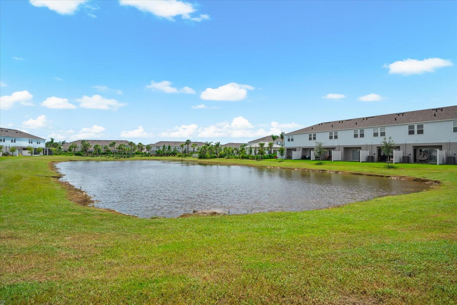 SKYE RANCH NEIGHBORHOOD - Residential
