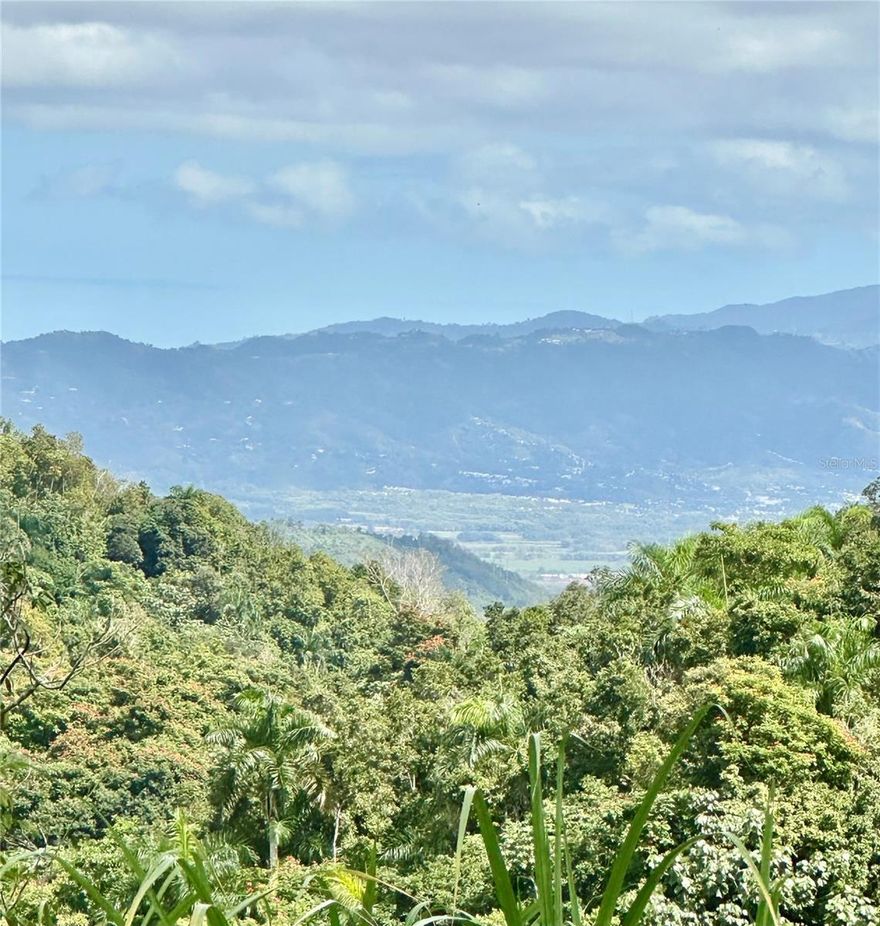 Enjoy a beautiful panoramic view in a peaceful setting.
Land of 29713.75 square meters (7.56 cuerdas) with CR zoning in the beautiful mountains and centrally located 10 minutes from Caguas, Cidra  and Aguas Buenas.
Approved plans for subdivision into 7 plots of 801.9433, 829.2217, 1,023.9548, 891.0825, 944.1253, 979.7062, and 919.1091 square meters and a remainder of 22,976 square meters (5.56 cuerdas) with 255.70 square meters of access to the interior road 785.
Turn your vision into reality in this stunning location!