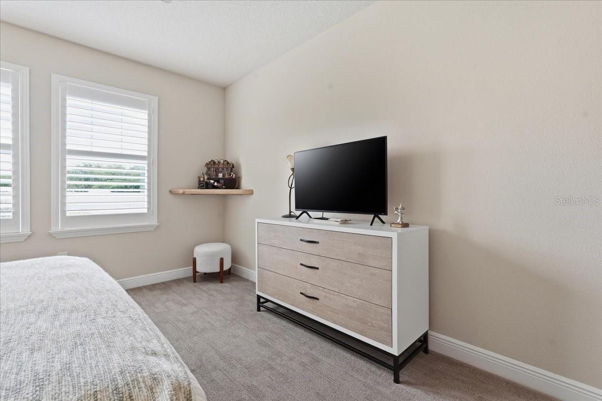 OZONA VILLAGE OF PALM HARBOR - Residential