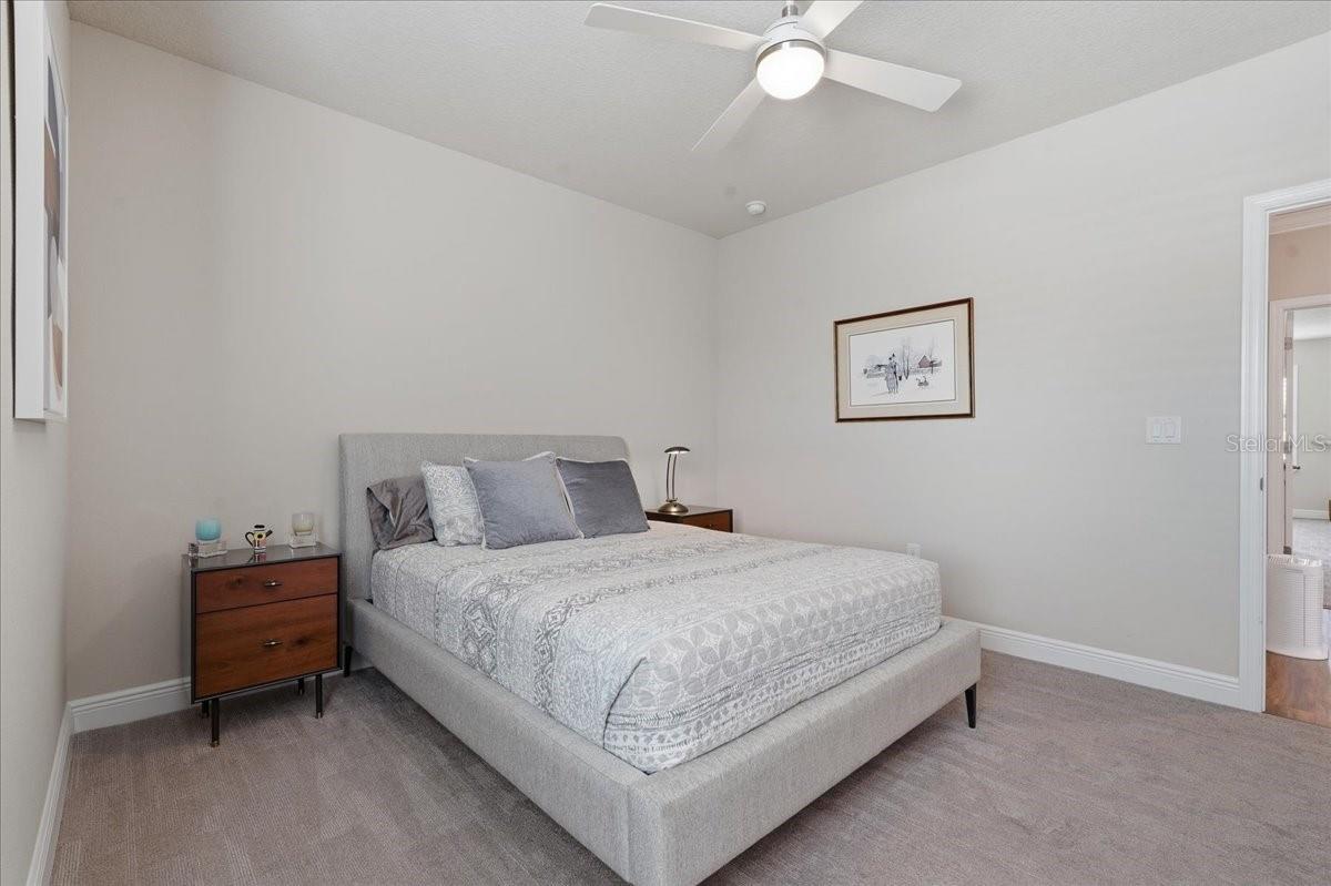 OZONA VILLAGE OF PALM HARBOR - Residential