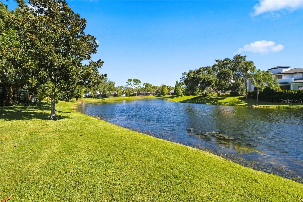 4110 CARROLLWOOD VILLAGE DRIVE