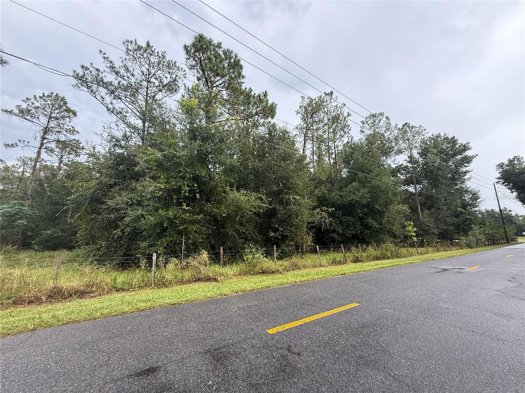 Photo of 32742 Whitney Road, Leesburg, FL 34748 (MLS # O6355896)