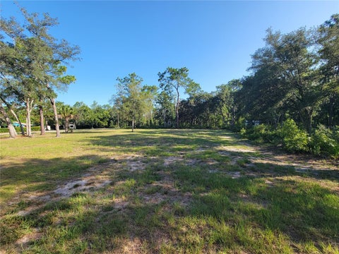Photo of 2075 S Colonial Avenue, Homosassa, FL 34448 (MLS # TB8523976)