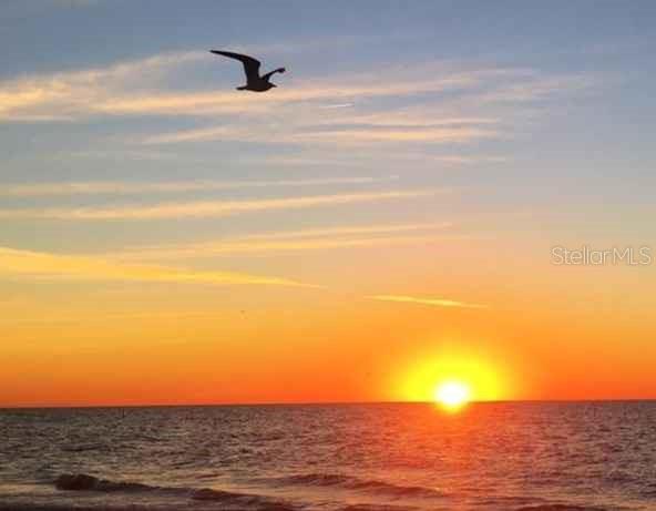 REDINGTON TOWERS BLDG 2 CONDO - Residential