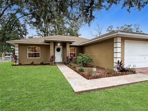 A home in BELLEVIEW