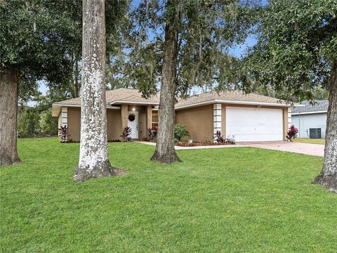 A home in BELLEVIEW