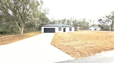 Photo of 4104 SW 130th Place, Ocala, FL 34473 (MLS # O6392466)