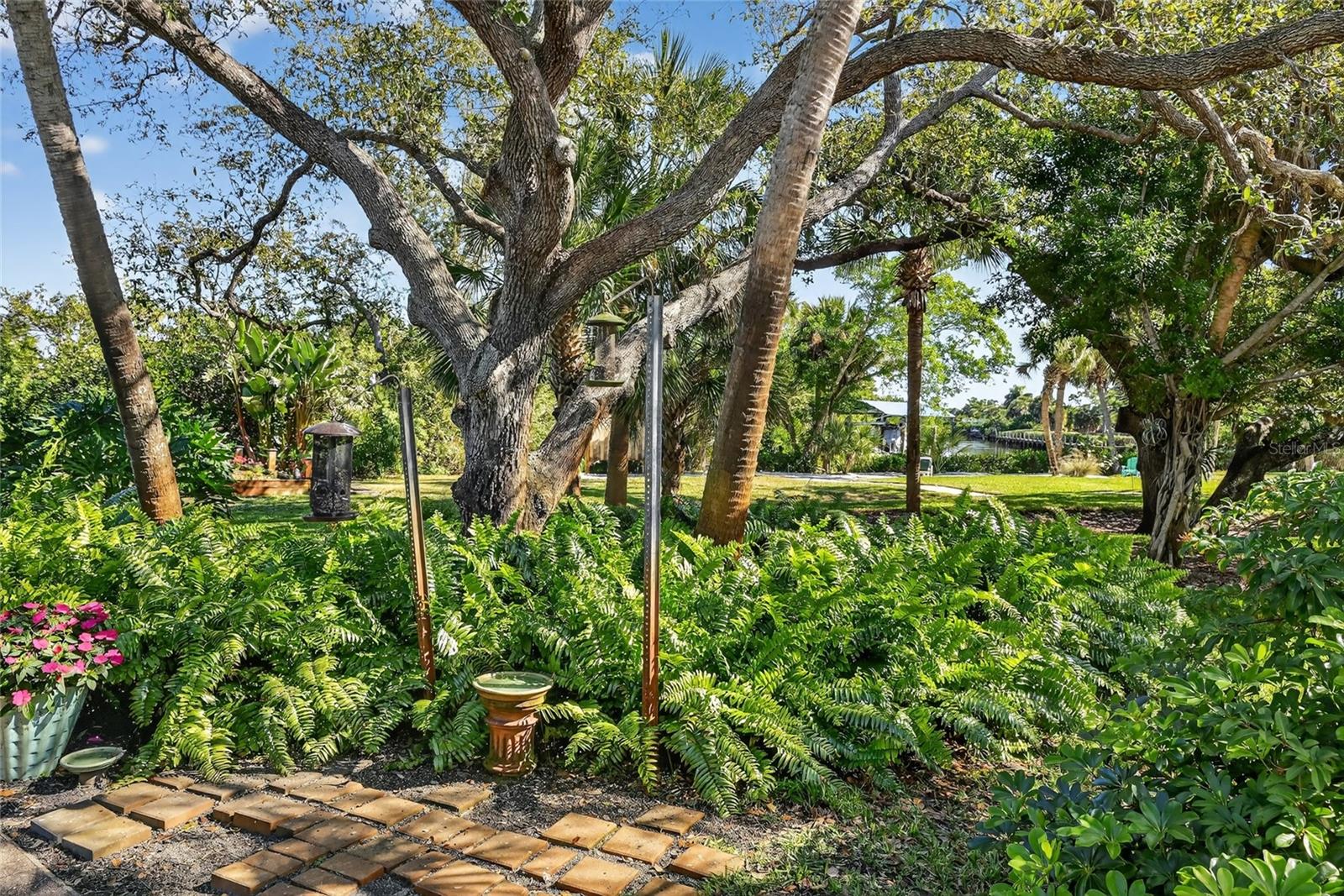 CORAL COVE - Residential