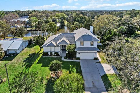 A home in CRYSTAL RIVER