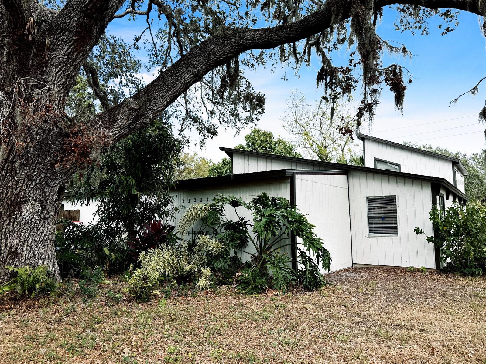 BAYOU OAKS - Residential