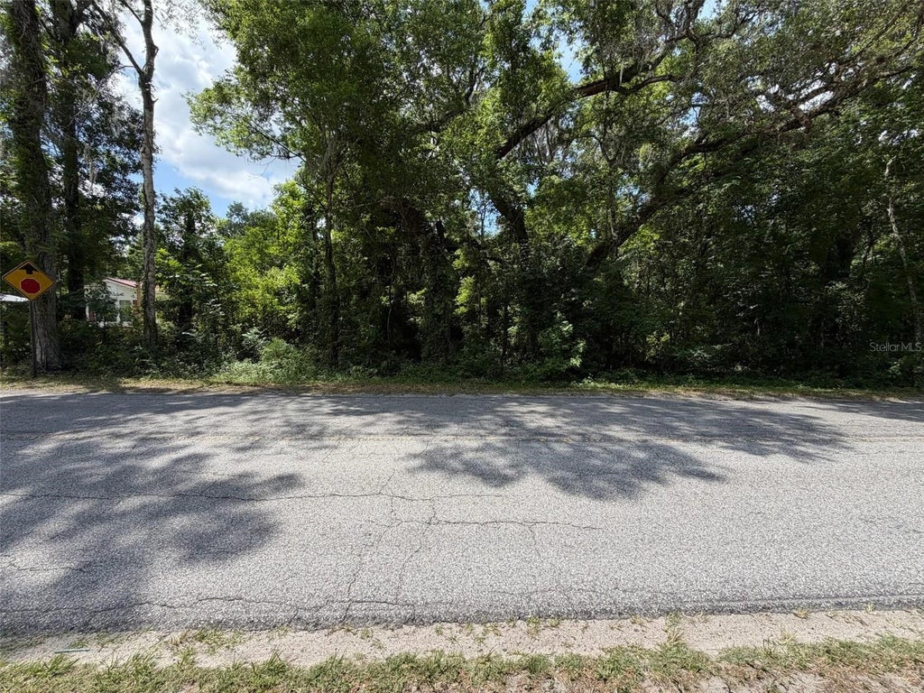 Photo of 0 Cr 656, Webster, FL 33597 (MLS # O6407465)