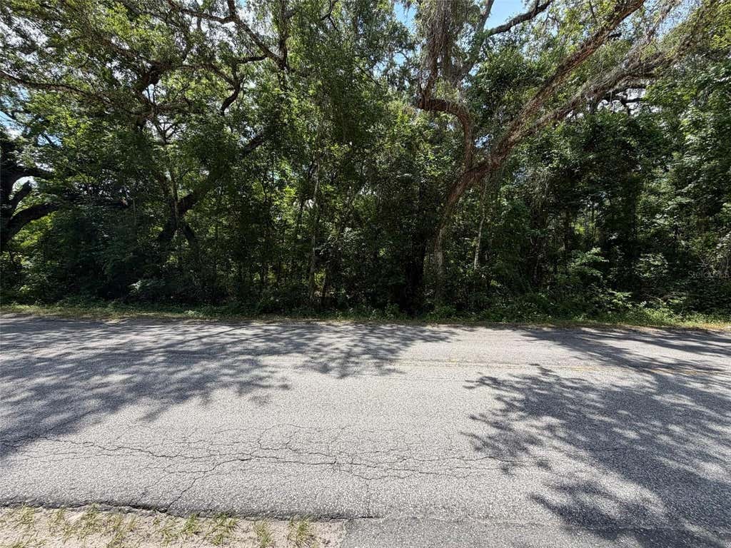 Photo of 0 Cr 656, Webster, FL 33597 (MLS # O6407465)