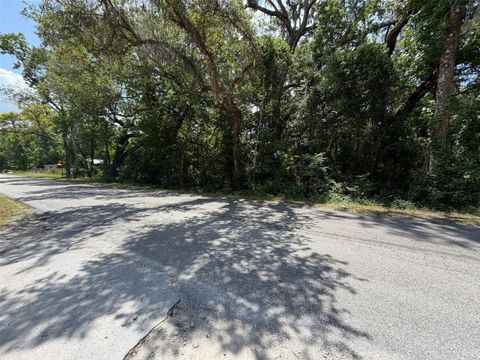 Tiny photo for 0 Cr 656, Webster, FL 33597 (MLS # O6407465)