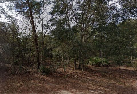 917 DAVID AVENUE INTERLACHEN FL 32148