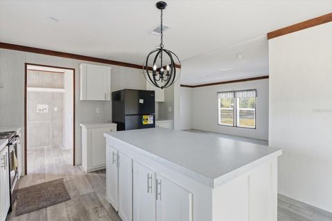 Tiny photo for 6919 S Sorrell Avenue, Homosassa, FL 34446 (MLS # TB8456398)