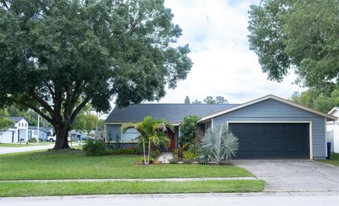 Photo of 8041 Blue Finch Way, New Port Richey, FL 34653 (MLS # O6348354)