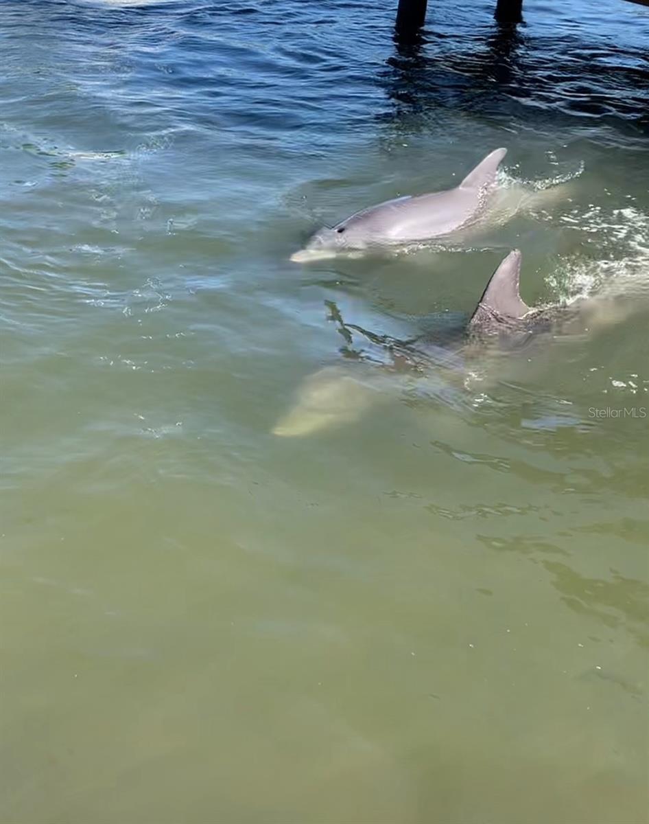 APOLLO BEACH UNIT 13PT PART 1 RESUBDIVISION - Residential