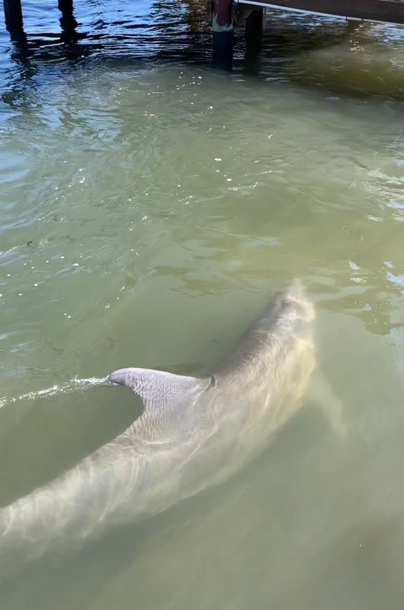 APOLLO BEACH UNIT 13PT PART 1 RESUBDIVISION - Residential