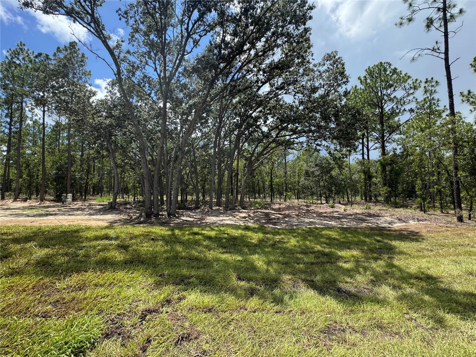 2904 NW HOLLY ROAD