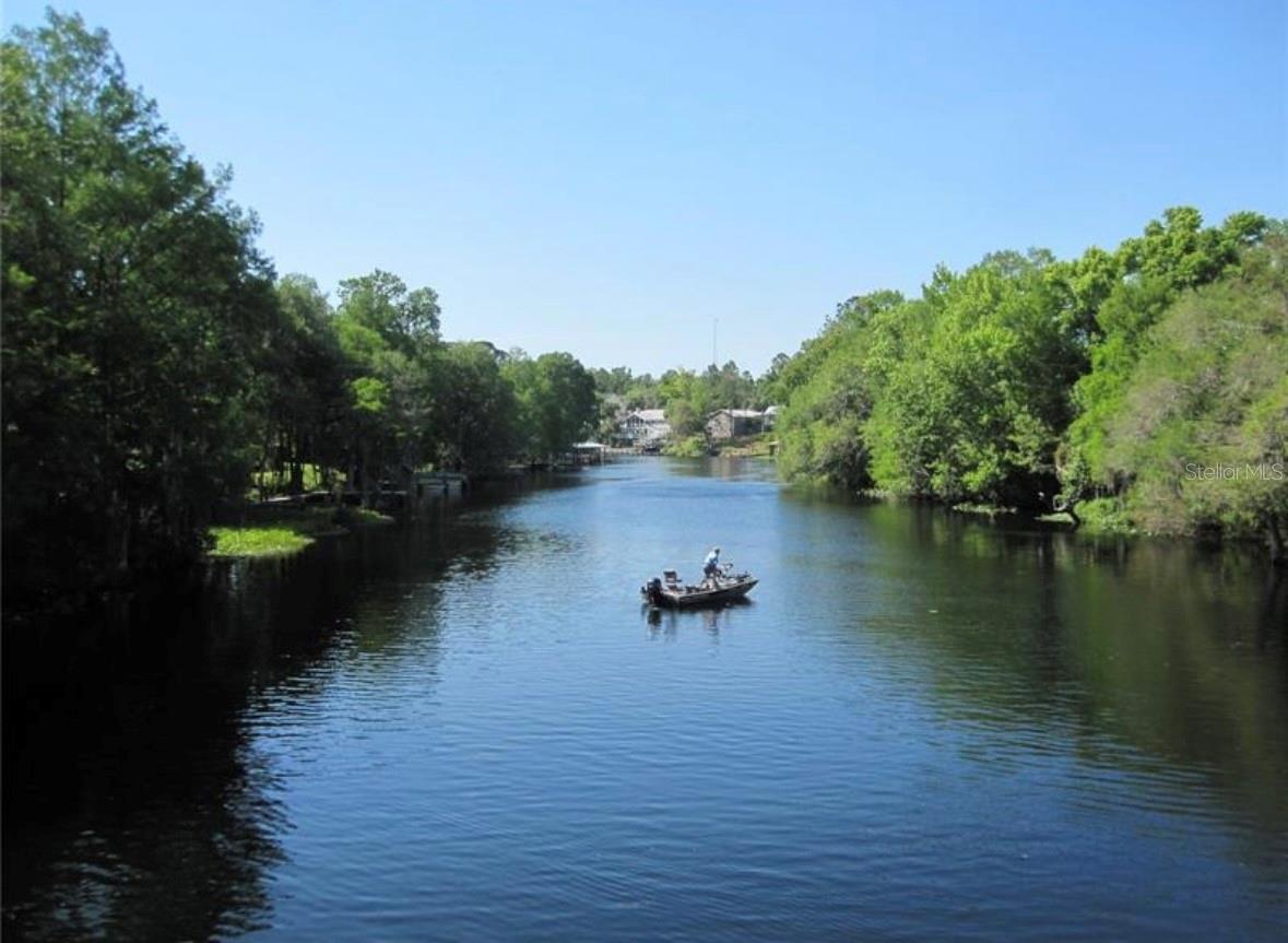 CITRUS SPRINGS - Land