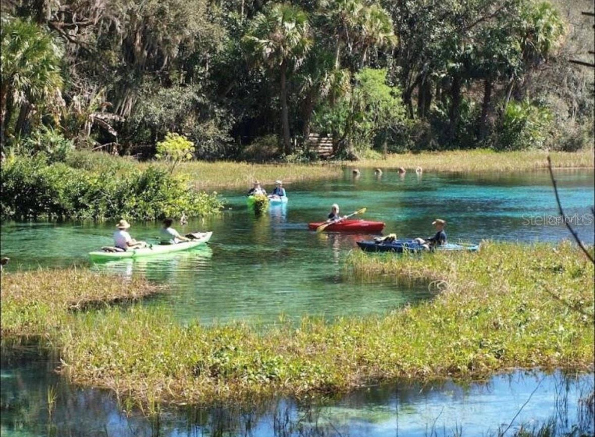 CITRUS SPRINGS - Land