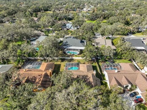 A home in VALRICO