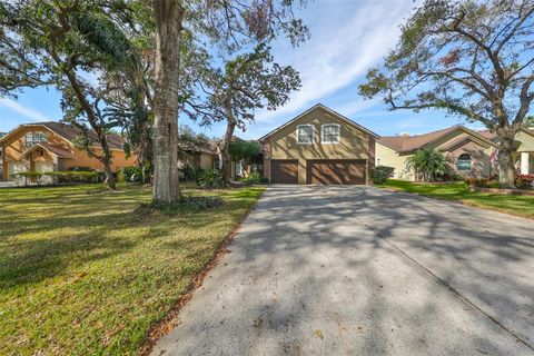 A home in VALRICO