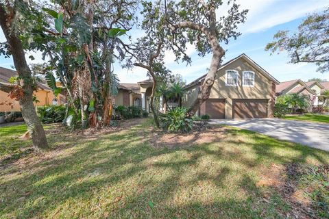 A home in VALRICO