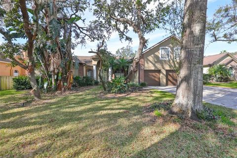 A home in VALRICO