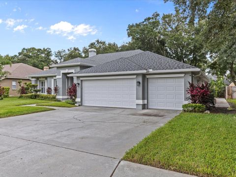 A home in VALRICO