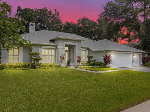 A home in VALRICO