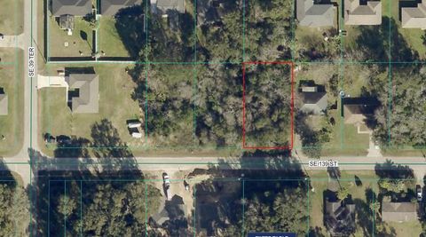 4037 SE 139TH STREET SUMMERFIELD FL 34491