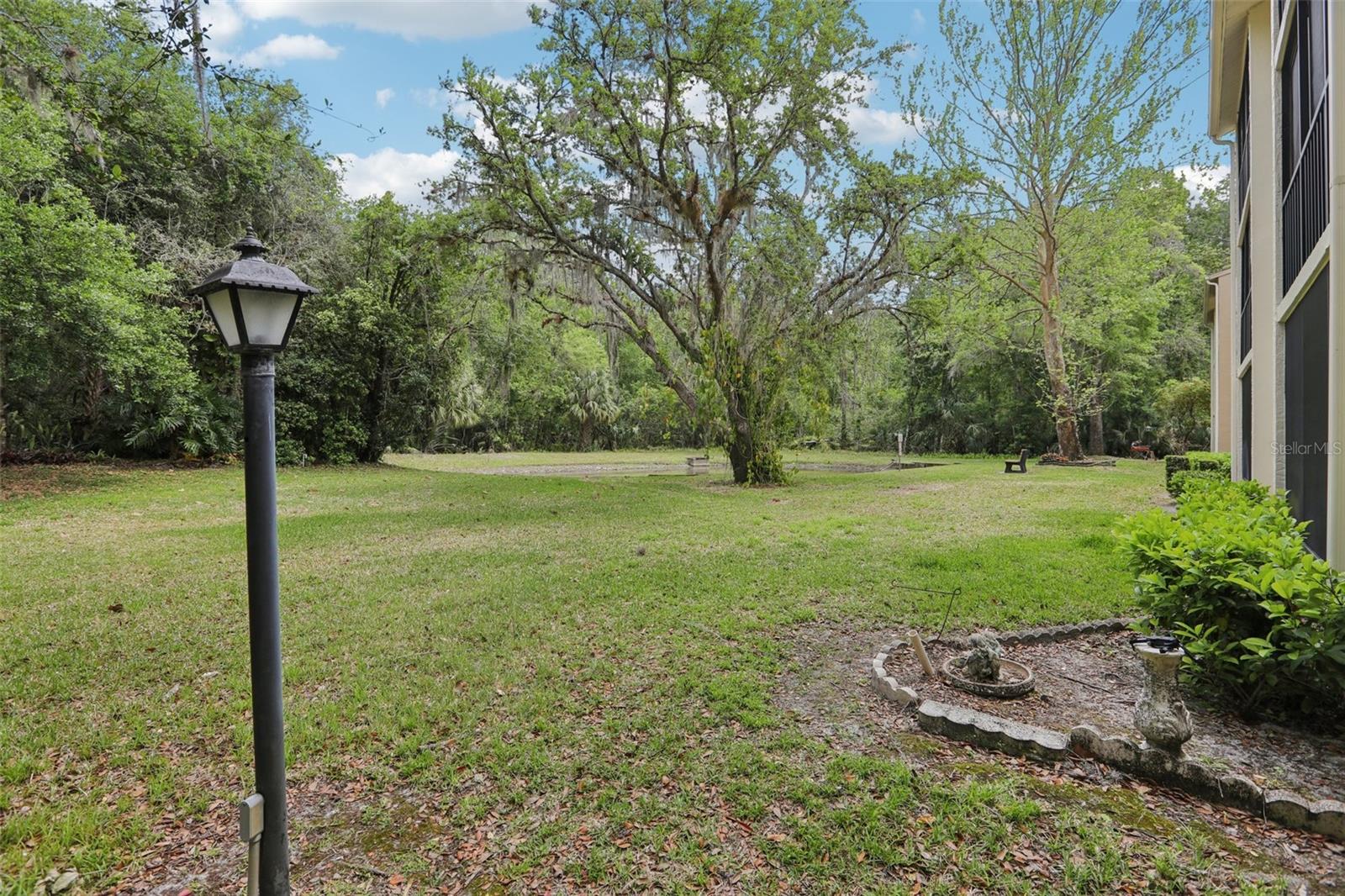 PINE RIDGE AT LAKE TARPON VILLAGE - Residential