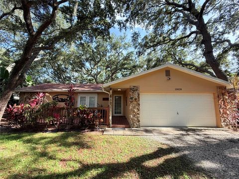 Photo of 13828 Friendship Lane, Odessa, FL 33556 (MLS # TB8515104)