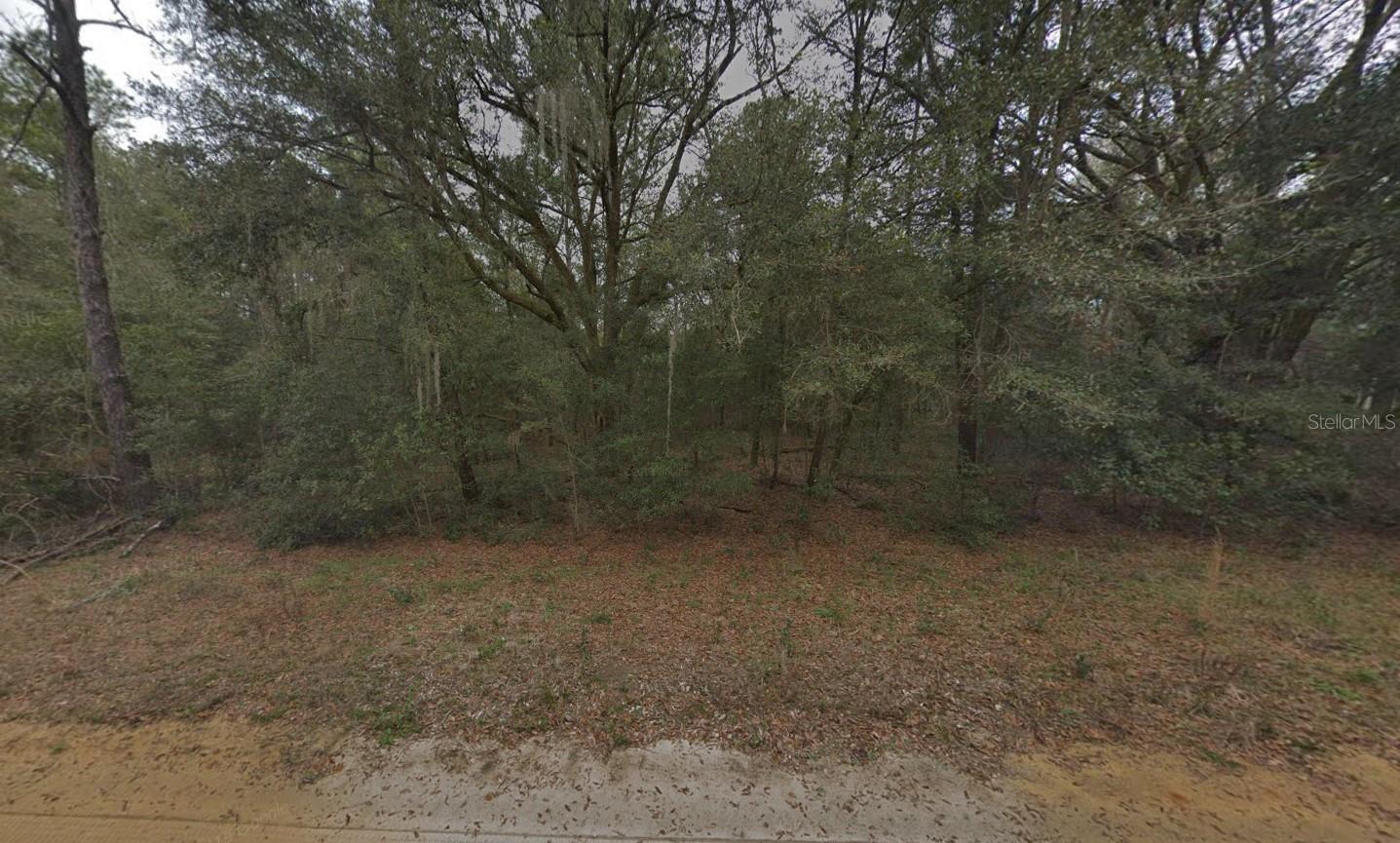 OWNER FINANCING CONSIDERED! Discover your opportunity to own a piece of beautiful Interlachen Lakes Estates! This vacant lot offers the perfect setting for your future home or investment property. Nestled in a quiet, wooded area surrounded by natural Florida beauty, this parcel provides privacy while still being close to local amenities, shopping, and schools. With numerous lakes nearby, outdoor enthusiasts can enjoy boating, fishing, and kayaking just minutes away. Power is available in the area. Whether you’re looking to build your dream home, place a mobile/manufactured home, or hold for the future, this affordable property is full of potential. Don’t miss your chance to own land in this growing community! FOR DIRECTIONAL PURPOSES USE THE NEIGHBORING ADDRESS 618 KENNEDY AVE