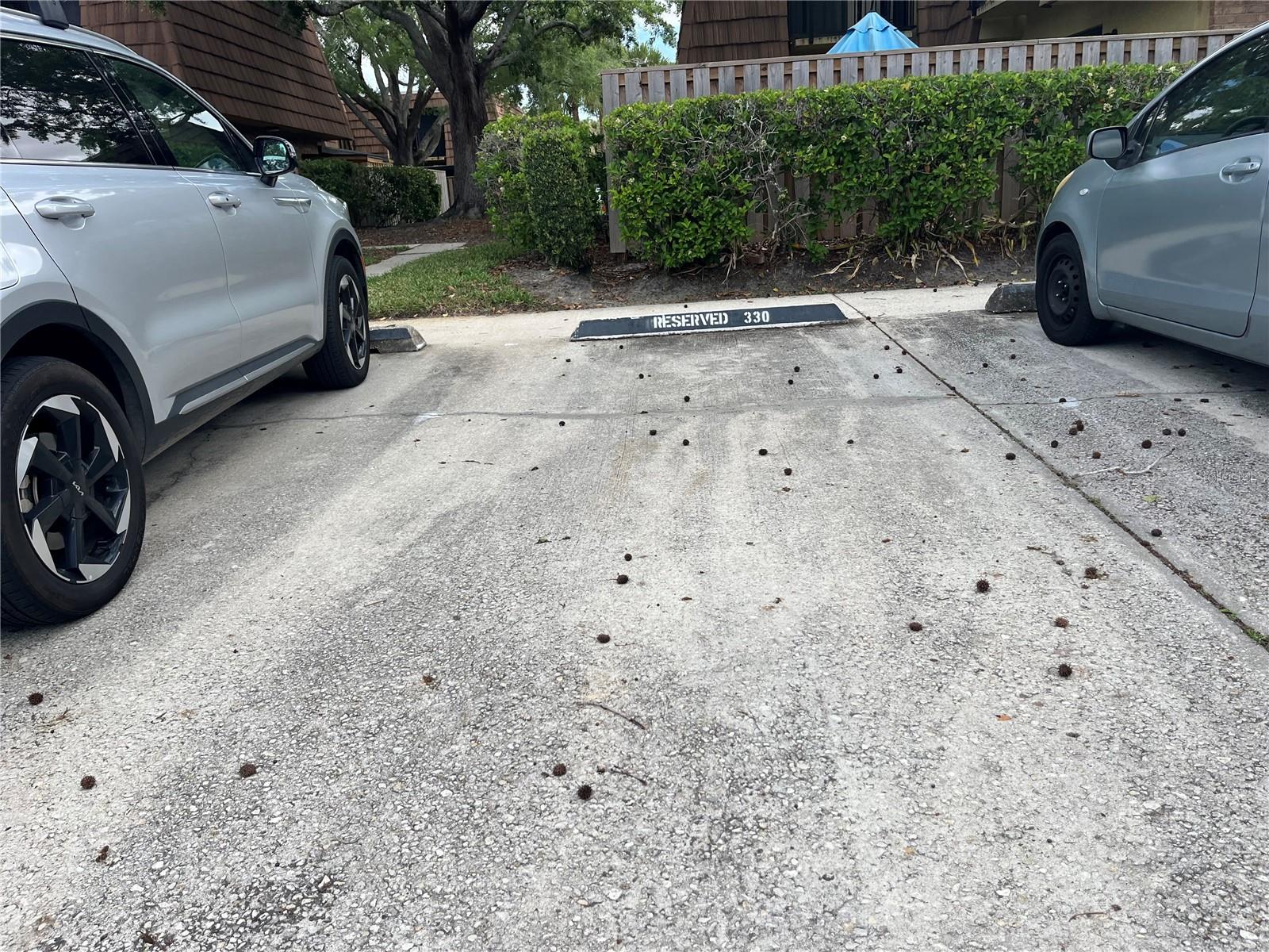 MIDDLEBROOK PINES PH 04 - Residential