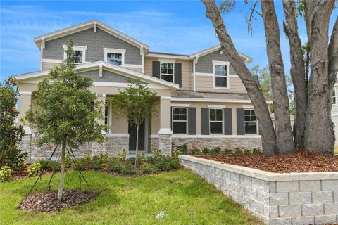 1035 CLOUD RIDGE COURT MOUNT DORA FL 32757