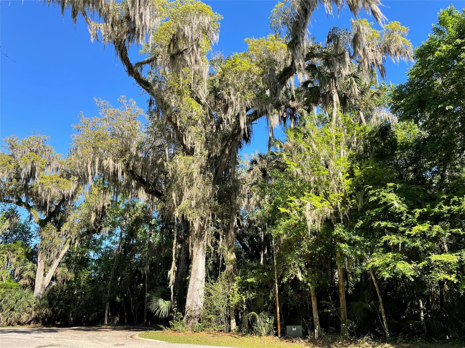 Lake Waterford Estates - Land