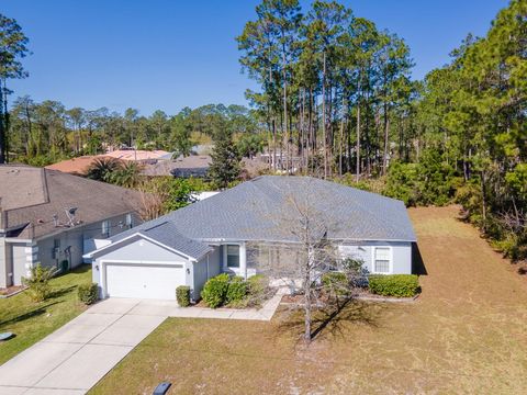 Single Family Residence in PALM COAST FL 7 EMMONS LANE.jpg