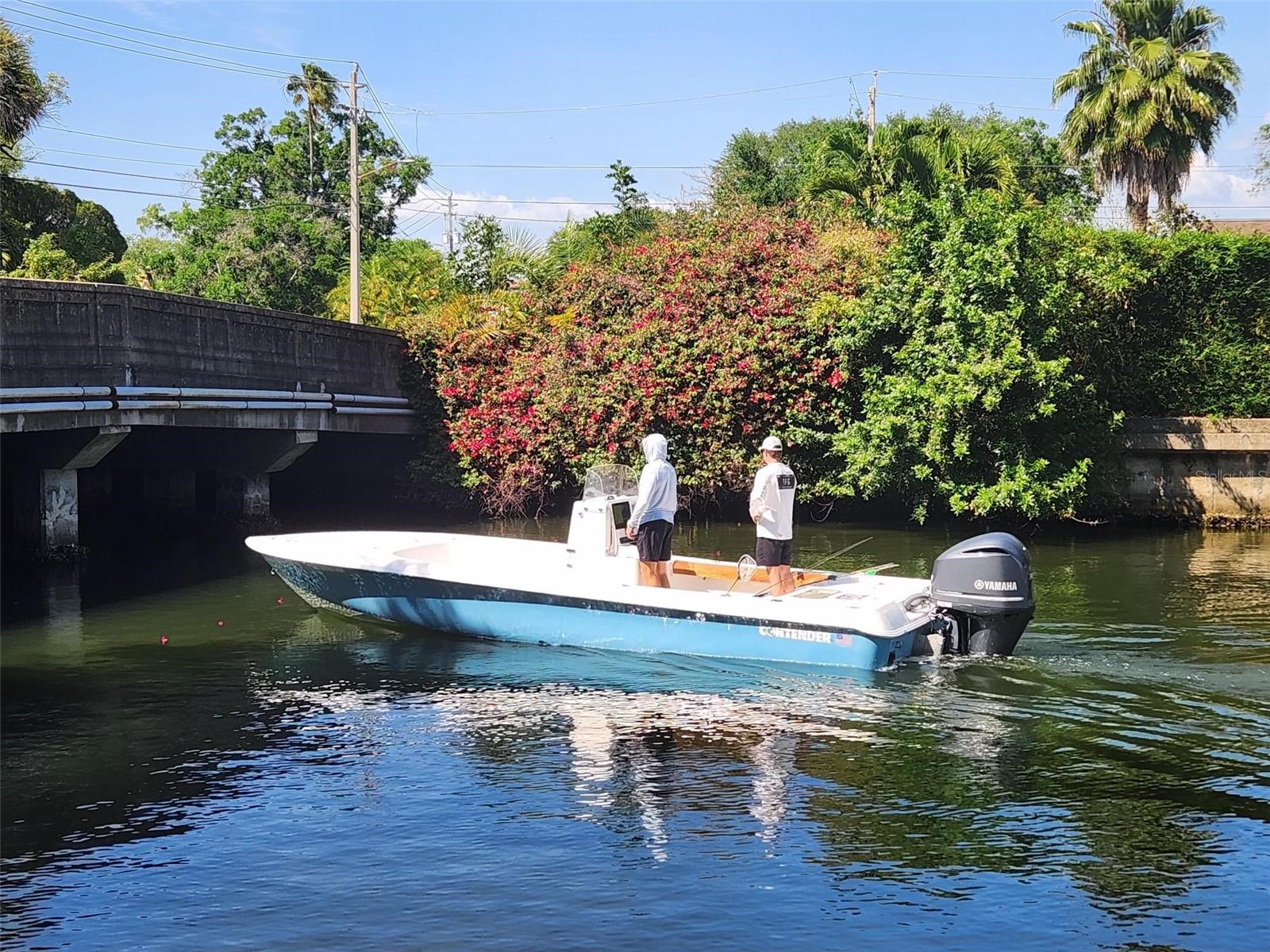 DAVIS ISLANDS - Residential