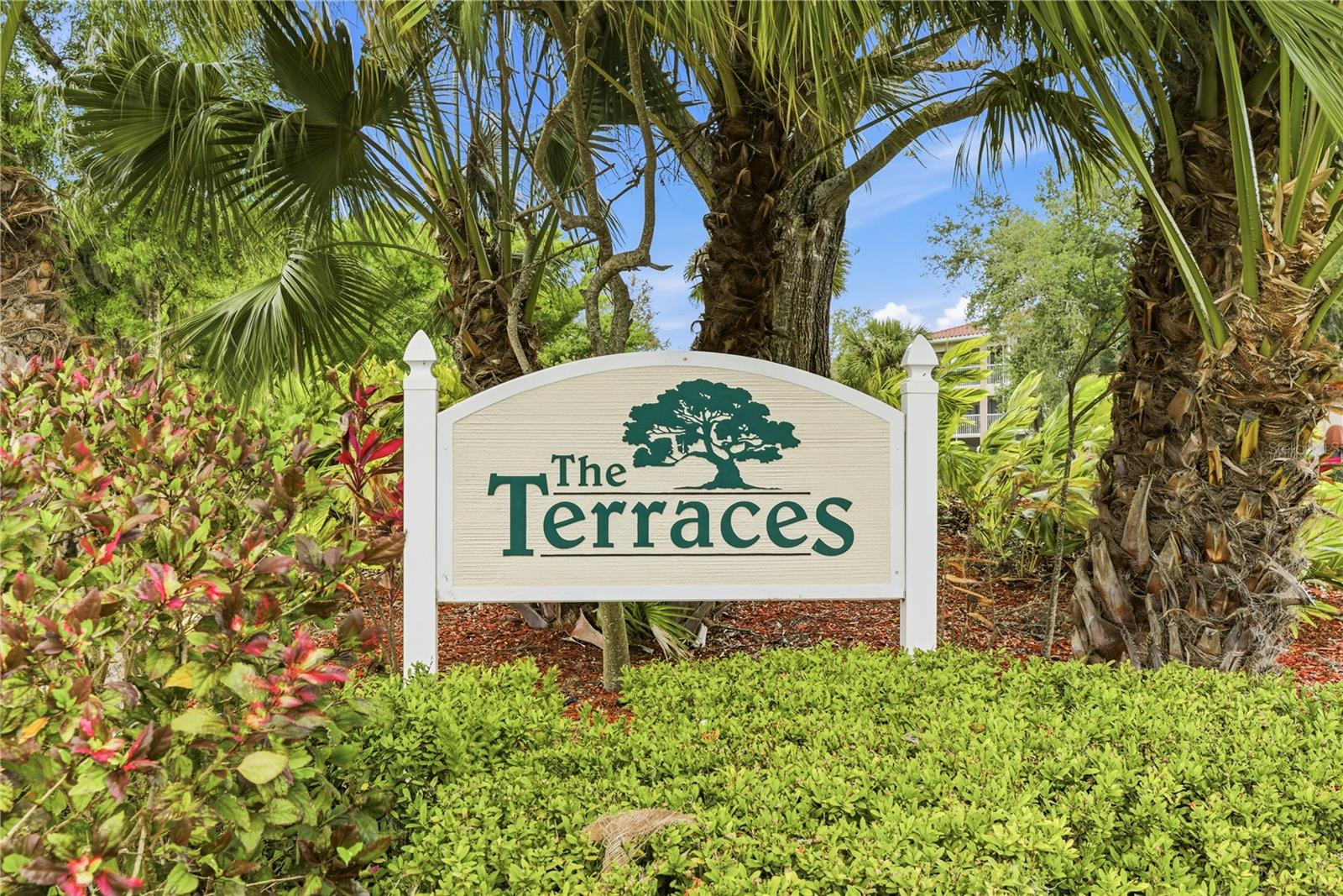 TERRACES 1 OF TARA - Residential