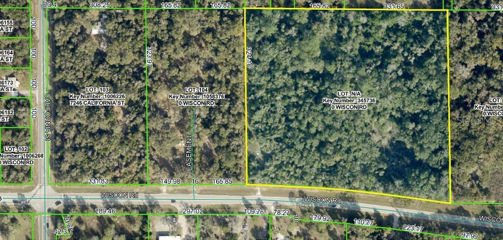 This 9.15-acre vacant residential lot, situated less than 2 miles from Suncoast Parkway and Highway 50 and within 1 mile of Tampa General Hospital Spring Hill, offers a prime location. Fully wooded with mature trees, varying elevations, and ample privacy, this parcel provides a stunning natural setting. Centrally positioned near shopping, it’s an ideal spot to create your dream home.